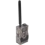 FOTOPUŁAPKA HC-BG584