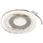 TAŚMA LED LED120-12V/9.6W-CW/5M - 16000 K MW Lighting