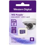 KARTA PAMIĘCI SD-MICRO-10/256-WD microSD UHS-I, SDXC 256 GB Western Digital